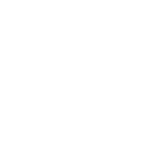 icon_1