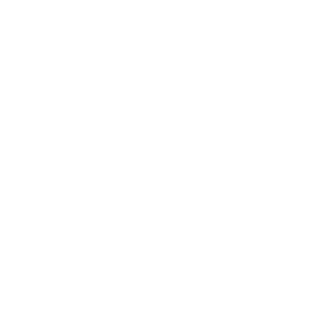 icon_1