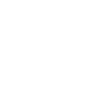 icon_1