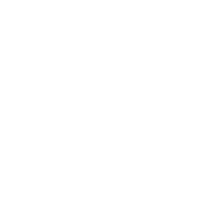 icon_1