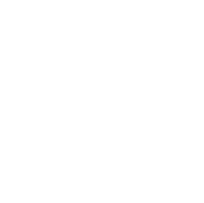 icon_1