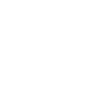 icon_1
